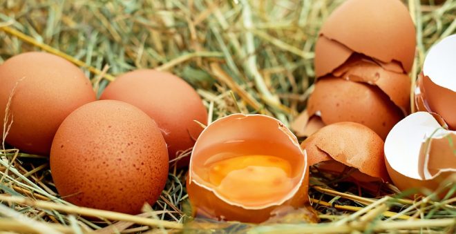 「卵殻膜」化粧品が年齢肌にアプローチ！オススメの卵殻膜化粧品5選