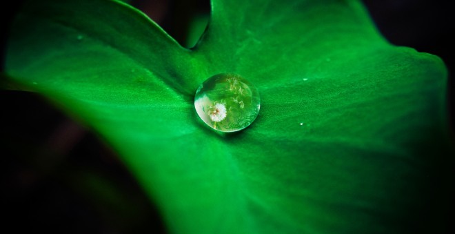 肌荒れは乾燥から！？顔のカサカサが気になる方の美容液の塗り方