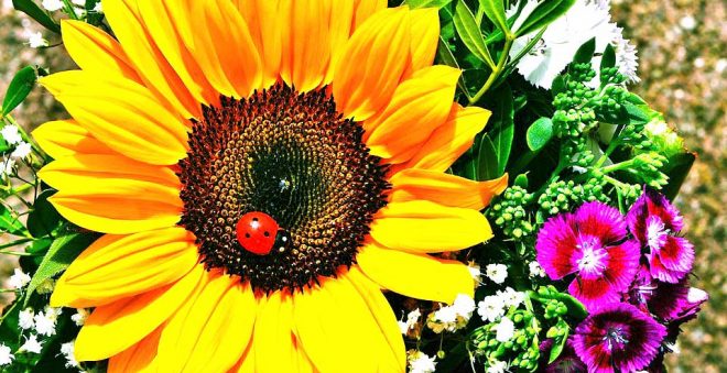 夏のメイク崩れを防ぐ裏ワザ10選!汗・湿気・紫外線の対策方法